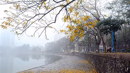 Miền Bắc mưa nhỏ và sương mù, Đà Nẵng và Nam Bộ hửng nắng