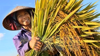 Lần đầu phát động Giải báo chí toàn quốc viết về nông nghiệp, nông dân, nông thôn