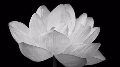 Thiếu tướng Bùi Văn Quỳ từ trần