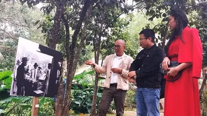Cung đường nghệ thuật ở Đà Lạt kéo dài 6 tháng