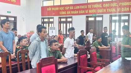 Thêm 9 đối tượng bị khởi tố trong vụ chặt phá tài sản của doanh nghiệp