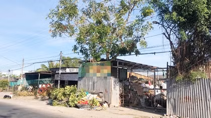 Đi chặt cây thuê, nam thanh niên ở Bạc Liêu bị điện giật tử vong