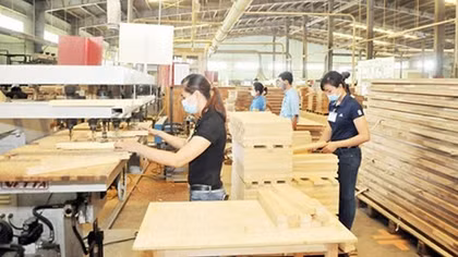 Giá trị tăng cao từ phụ phẩm xuất khẩu