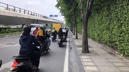 Vật liệu phủ gốc cây trên đường Trường Sơn là bê tông thấm nước