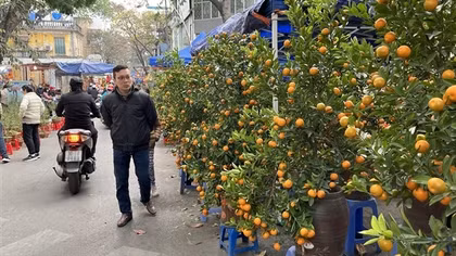 Thị trường ngày 30 Tết: Hoa, cây cảnh "hạ nhiệt", rau xanh tăng giá