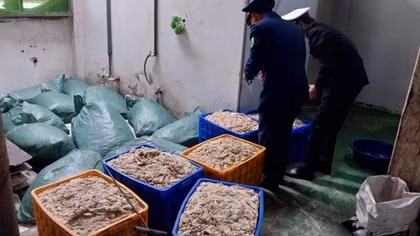 Tạm giữ hơn 9 tấn thực phẩm đông lạnh không rõ nguồn gốc