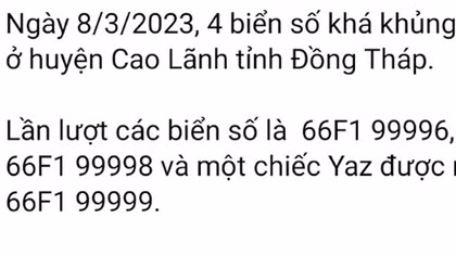 Kiểm tra thông tin loạt biển số “siêu đẹp” ở Đồng Tháp
