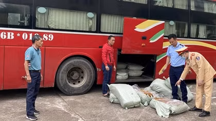 Chặn đường đi của gần nửa tấn lòng lợn bốc mùi hôi thối