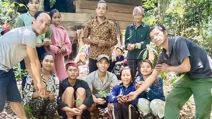 Nhọc nhằn giấc mơ sâm