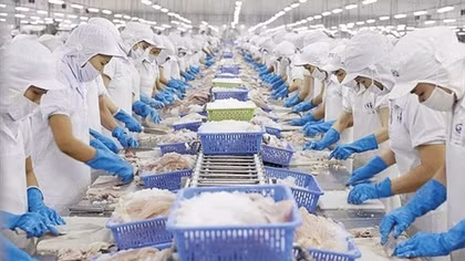 Nghiên cứu, đề xuất gói tín dụng 10.000 tỷ đồng hỗ trợ doanh nghiệp lâm, thủy sản