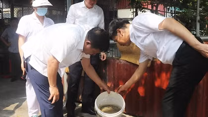 Hà Nội: Gần 500 ca sốt xuất huyết mỗi tuần; chỉ số muỗi, bọ gậy ở ngưỡng cao