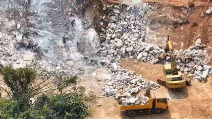 Xử phạt công ty bạt núi, phá rừng để làm trạm trung chuyển trâu bò