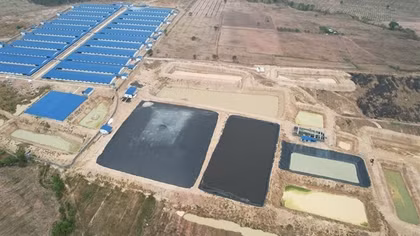 3 công ty chăn nuôi không có giấy phép môi trường bị phạt gần 1 tỷ đồng
