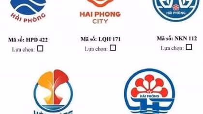 Thực hư thông tin tác phẩm dự thi biểu tượng Hải Phòng bị “nhái”