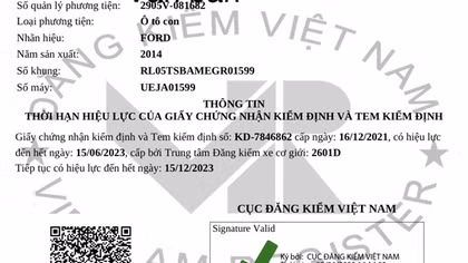 Có khoảng 8 triệu lượt truy cập nhằm tra cứu gia hạn kiểm định xe ô tô