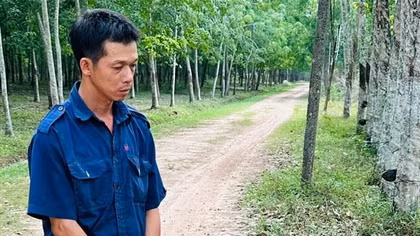 Giả vờ hỏi mua phân bò rồi chích roi điện, giật dây chuyền