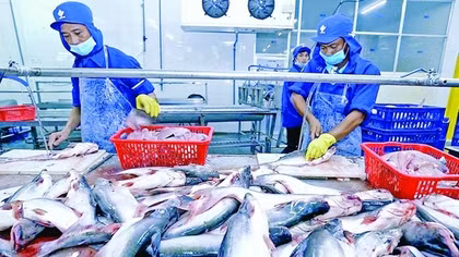 Xuất khẩu thủy sản giảm tại các thị trường chính