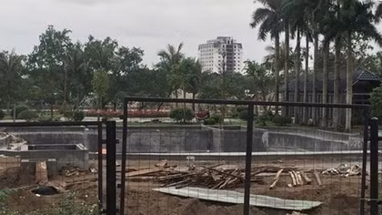 Hải Phòng chỉ đạo xử lý dứt điểm 39 vụ vi phạm về đê điều