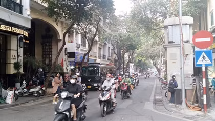 Những cánh cò chợt tới trong mơ