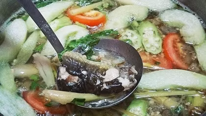 Bị cấm yêu, nghịch tử đổ thuốc sâu vào nồi canh đầu độc cha mẹ