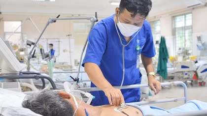 Hai người hôn mê sâu vì ăn so biển