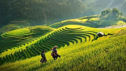 Thu phí và giá trị của di sản