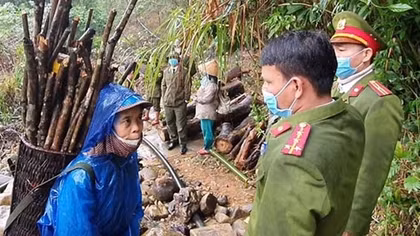 Chung tay xây dựng “vùng xanh” nơi biên giới