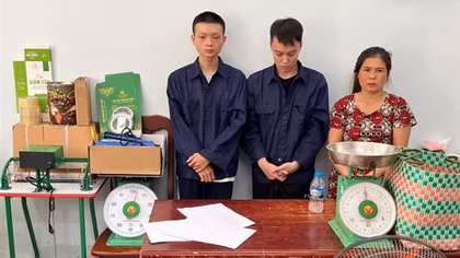 Triệt phá đường dây khép kín "quy trình" trồng - đóng gói - tiêu thụ cần sa