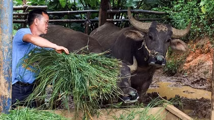 Khi “cơn bão” đi qua