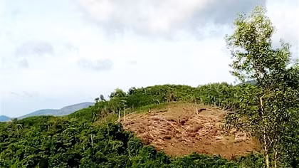 Phản hồi bài viết về xã tái nghèo, người dân không được hưởng lợi từ rừng