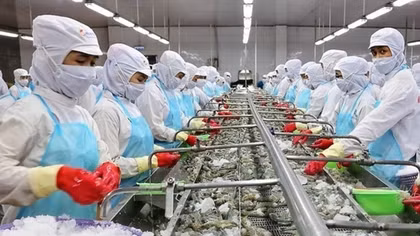 Dự báo xuất khẩu thủy sản sẽ khả quan hơn trong những tháng cuối năm