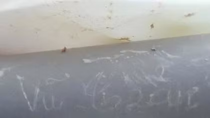 Phát hiện mộ chí có ống nhựa chứa thông tin liệt sĩ