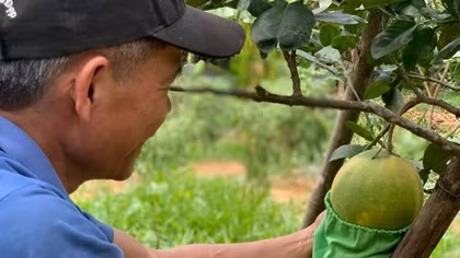 Nhiều cách làm hay giúp giảm thiểu rác thải nhựa ra môi trường