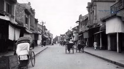 Cây bàng lá đỏ chợ xưa