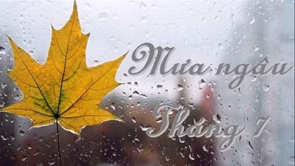 Thắp lên mùa ngâu