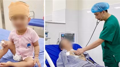 Đưa trâu đi uống nước, 2 ông cháu bị trâu húc chấn thương