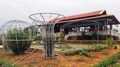 Tiếp cận dinh thự “khủng” trên đất chưa có sổ đỏ của phó bí thư huyện uỷ đất Quảng