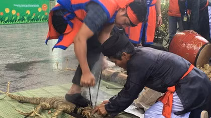 Tết Việt vùng Kinh Bắc tại Bảo tàng Dân tộc học Việt Nam