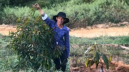 Cảnh báo tình trạng ồ ạt phát triển cây sầu riêng ở Tây Nguyên