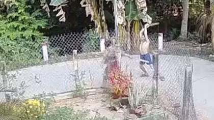 Người đàn ông đánh hàng xóm tử vong