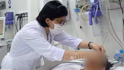 Chuyên gia khuyến cáo cần thận trọng khi sử dụng nấm rừng làm thức ăn