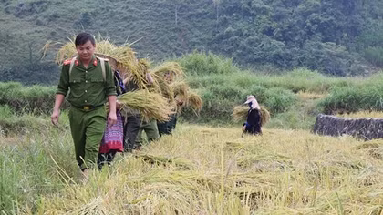 Hiệu quả từ những chuyên đề, mô hình hay (Bài 1)