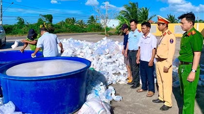 Tiêu hủy trên 2,7 triệu tôm giống không chứng nhận kiểm dịch