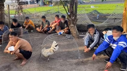 Phá sòng bạc trong sới gà để... ngừa COVID-19