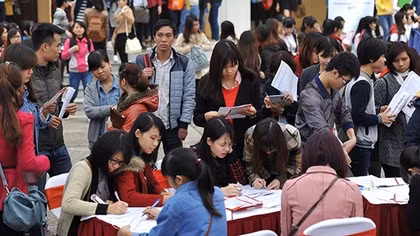 Ngành học nào ra trường dễ kiếm việc làm?