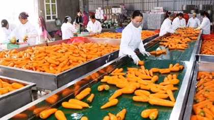 Xuất khẩu sang thị trường Anh tăng trưởng ấn tượng