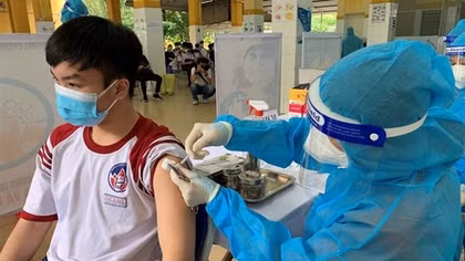 Nghiên cứu, xem xét ứng dụng thuốc nam cho bệnh nhân COVID-19