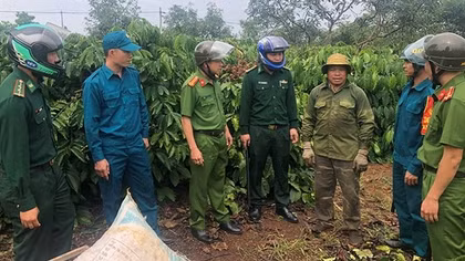Bảo đảm an ninh trật tự mùa thu hoạch cà phê ở Đắk Nông