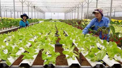 "Nông nghiệp thịnh vượng, nông dân giàu có, nông thôn văn minh, hiện đại"