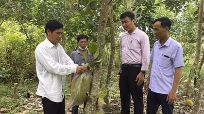 “Cầu nối” chuyển tải hiệu quả nguồn vốn tín dụng chính sách